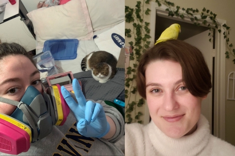 Animals in My Classroom