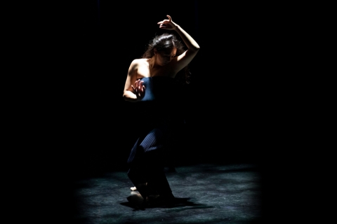 Lauren Gresens ’20 performs a solo  in North Star, a piece from choreographer and UCI Disting