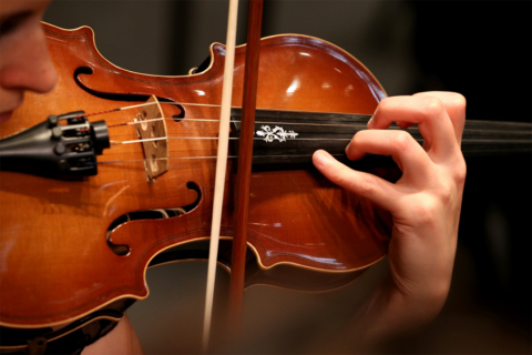 Close up on string instrument
