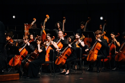 Close-up of symphony members performing